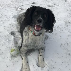 Meet your Posher, Leslie